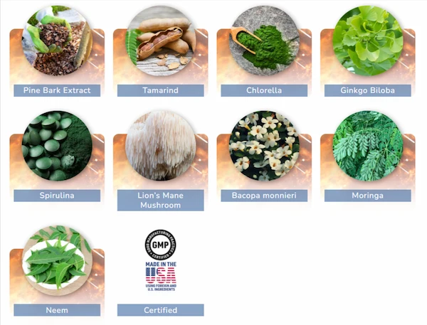 JointVive Ingredients